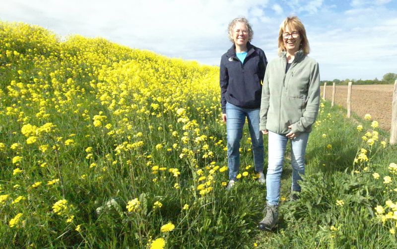 Bas van de goor foundation, 20 weken wandelen in Culemborg