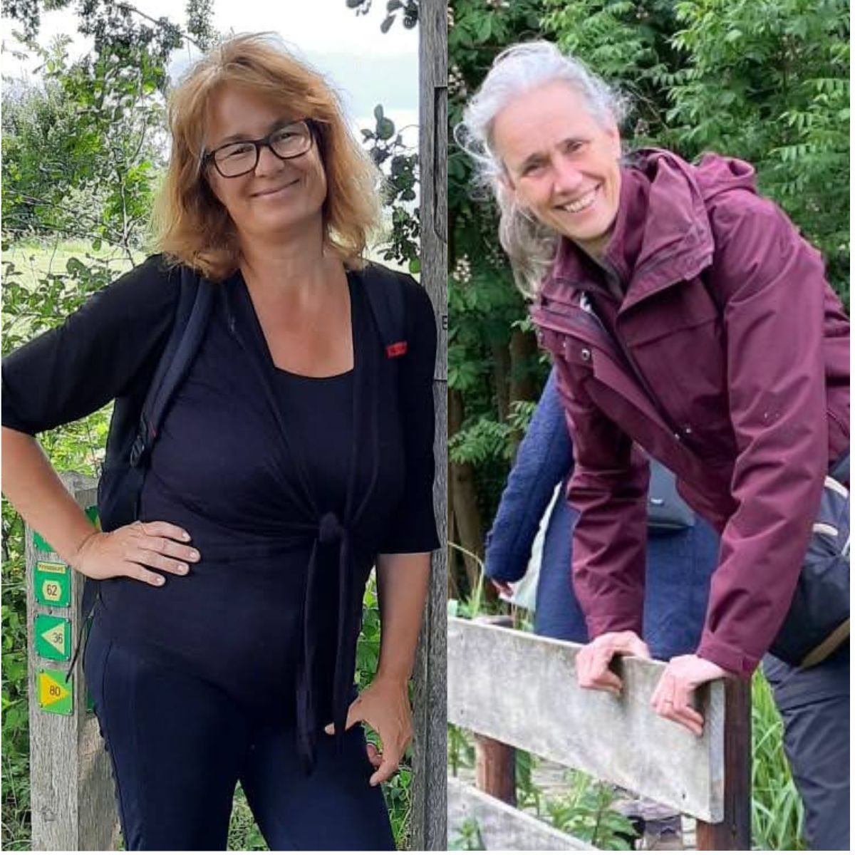 wandelretraite midden delfland